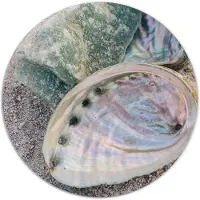 Label2X Muurcirkel dreamy beach