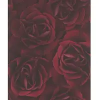 Rasch Vliesbehang Crispy Paper 525625 rozen rood