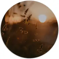 Label2X Muurcirkel mystic gold
