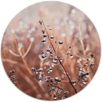 Label2X Muurcirkel cosy flower winter