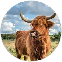 Label2X Muurcirkel Schotse hooglander - gras