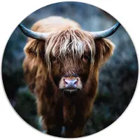 Label2X Muurcirkel Schotse hooglander - donker