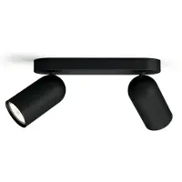 Philips Opbouwspot Pongee - Zwart - 24cm - 2xgu10