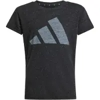 Adidas Functioneel shirt 'Essentials' grijs / zwart