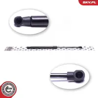 ESEN SKV 52SKV813 Gasveer achterklep