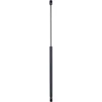 Diederichs 9305200 Gasveer motorkap