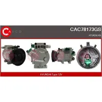 Casco CAC78173GS Aircopomp