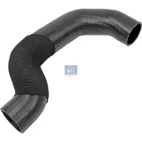 DT Spare Parts 3.16487 Radiateurslang