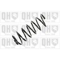 Quinton Hazell QCS5321 Chassisveer