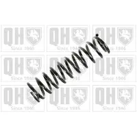 Quinton Hazell QCS8177 Chassisveer