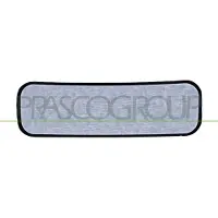 PRASCO FT9267515 Spiegelglas, buitenspiegel