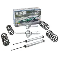 H&R 31017-1 Schokdemper met veer