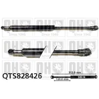 Quinton Hazell QTS828426 Gasveer motorkap