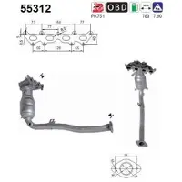 As 55312 Katalysator