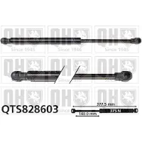 Quinton Hazell QTS828603 Gasveer achterklep