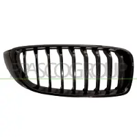 PRASCO BM4002003 Radiator grill