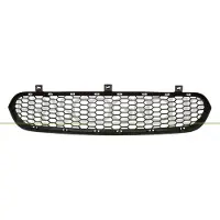 PRASCO BM8252120 Ventilatiegrille, bumper