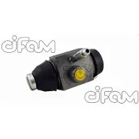 CIFAM 101-561 Wielremcilinder