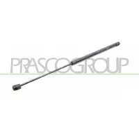 PRASCO ME3209055 Gasveer achterklep
