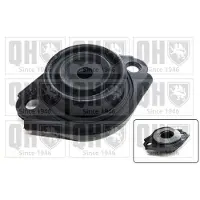 Quinton Hazell EMR4902 Veerpootlager