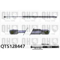 Quinton Hazell QTS128447 Gasveer achterklep