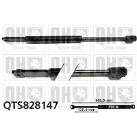 Quinton Hazell QTS828147 Gasveer motorkap