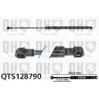 Quinton Hazell QTS128790 Gasveer achterklep