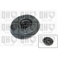 Quinton Hazell EMR5041 Veerpootlager