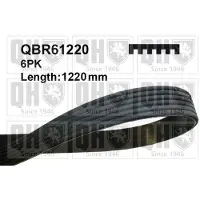 Quinton Hazell QBR61220 Multiriem
