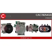 Casco CAC78254GS Aircopomp