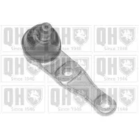 Quinton Hazell QSJ1116S Fuseekogel
