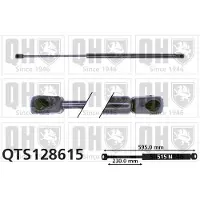 Quinton Hazell QTS128615 Gasveer achterklep