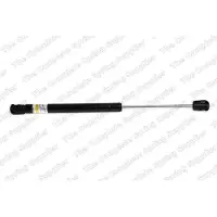 LESJÖFORS 8104208 Gasveer achterklep