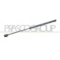 PRASCO RN0239055 Gasveer achterklep