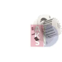 AKS DASIS 570115N Waterpomp