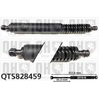Quinton Hazell QTS828459 Gasveer achterklep