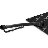RIDEX 475R10020 Radiateurslang