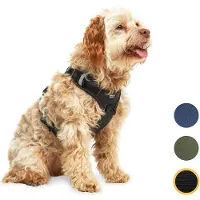 Jake and Jacky Jake en Jacky Hondentuigje - Anti-Trek Tuig - Hondenharnas - Y Tuig Hond - Reflecterend - Zwart - Maat M
