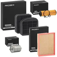 RIDEX 4055F29542 Filterset