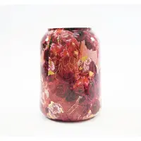 RM Plants Vaas Rose 62cm