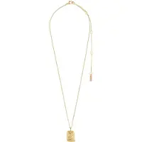 Pilgrim Ketting 'Zodiac Sign Pisces' goud