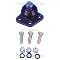 TRISCAN 8500 2978 Fuseekogel