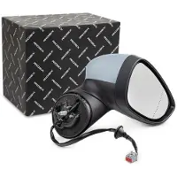 RIDEX 50O0813 Buitenspiegel