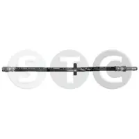 STC T496179 Remslang