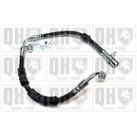 Quinton Hazell BFH6018 Remslang