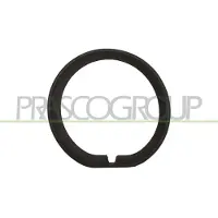 PRASCO MN7041239 Bumperlijst