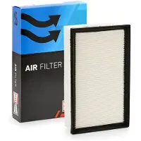 Champion CAF101064P Luchtfilter