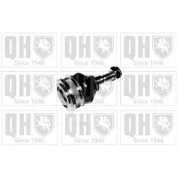 Quinton Hazell QSJ839S Fuseekogel