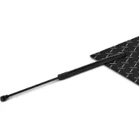 RIDEX 219G1069 Gasveer achterklep
