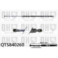 Quinton Hazell QTS840260 Gasveer achterklep